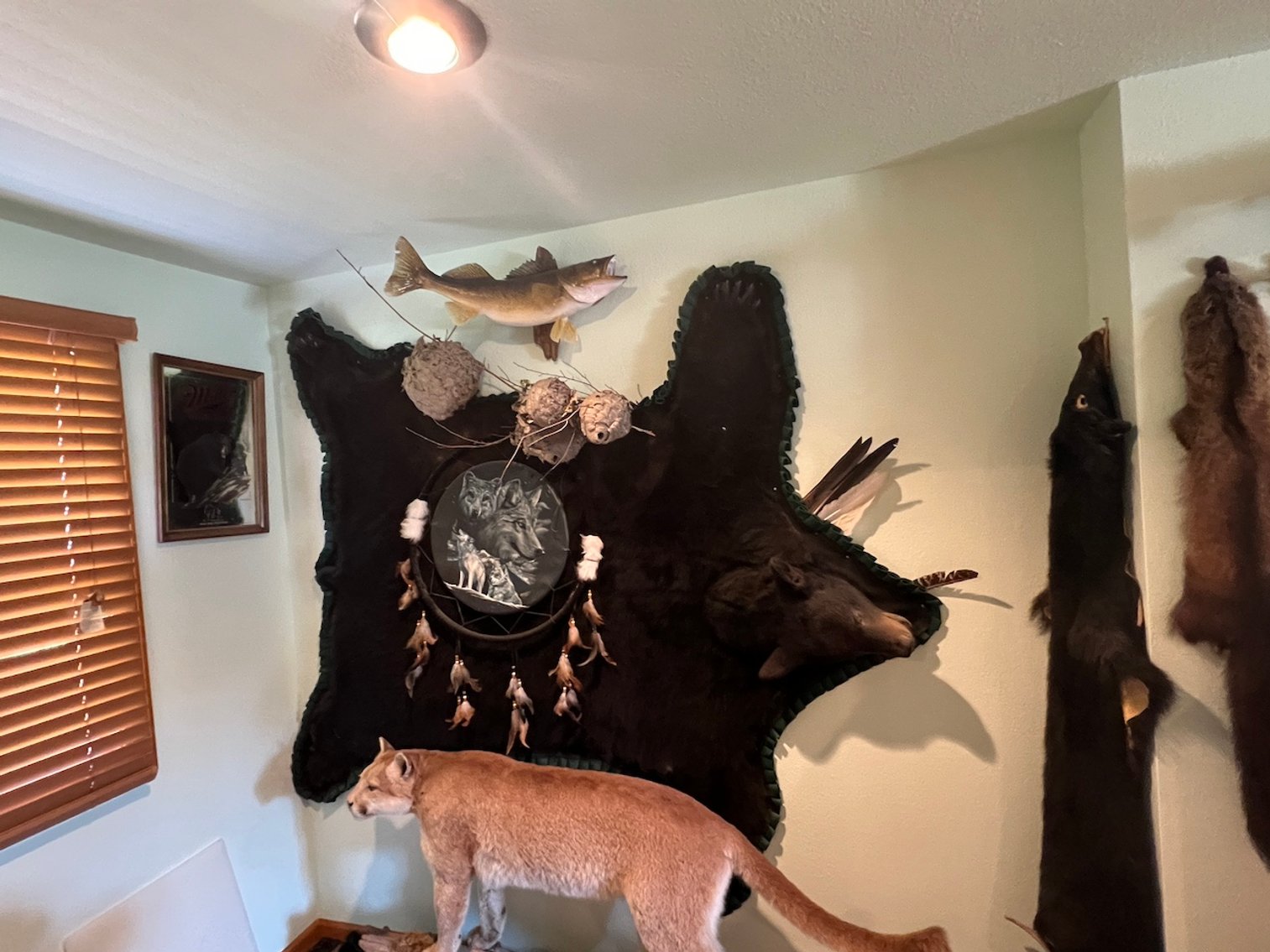 Image for Rhinelander/Gleason, Wi ATVs, Taxidermy, Tools, Car, sporting Goods, Guns, Home Contents & More!