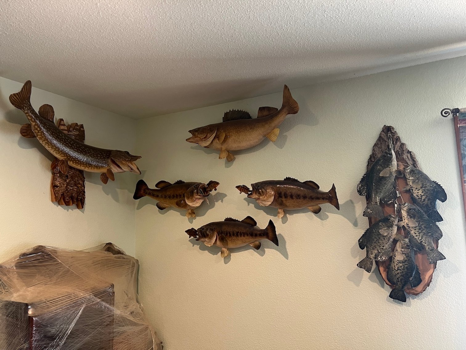 Image for Rhinelander/Gleason, Wi ATVs, Taxidermy, Tools, Car, sporting Goods, Guns, Home Contents & More!