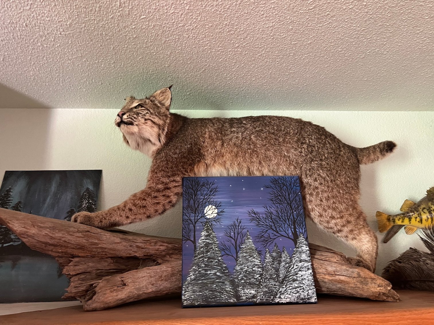 Image for Rhinelander/Gleason, Wi ATVs, Taxidermy, Tools, Car, sporting Goods, Guns, Home Contents & More!