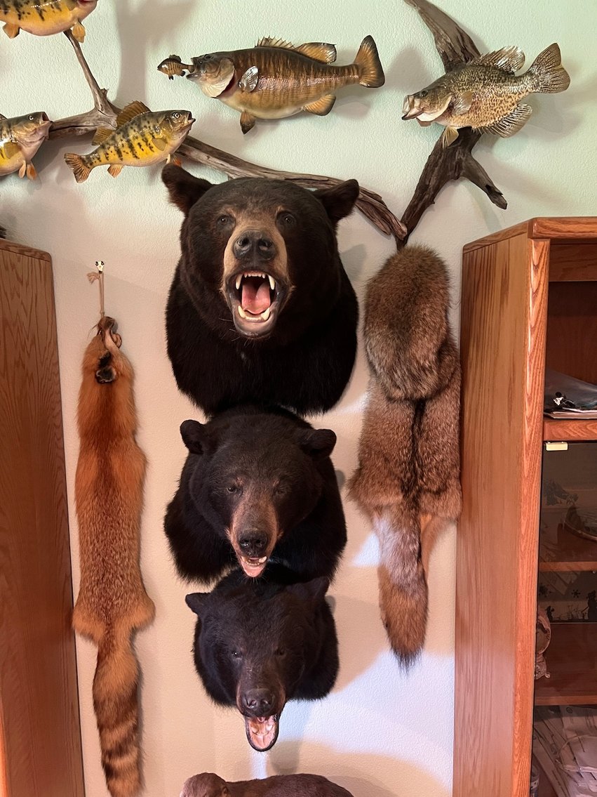 Image for Rhinelander/Gleason, Wi ATVs, Taxidermy, Tools, Car, sporting Goods, Guns, Home Contents & More!