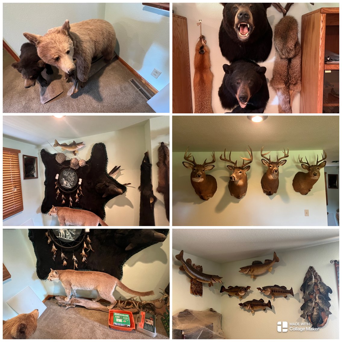 Image for Rhinelander/Gleason, Wi ATVs, Taxidermy, Tools, Car, sporting Goods, Guns, Home Contents & More!