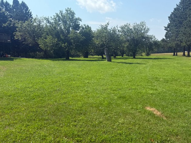 Image for Sold, Sold, Sold, Sold,***Florence,  WI *** Sept 6, 2025 *** 40 +/- Acres & Home/Barn - Being Sold To The Highest Bidder! Court Ordered!