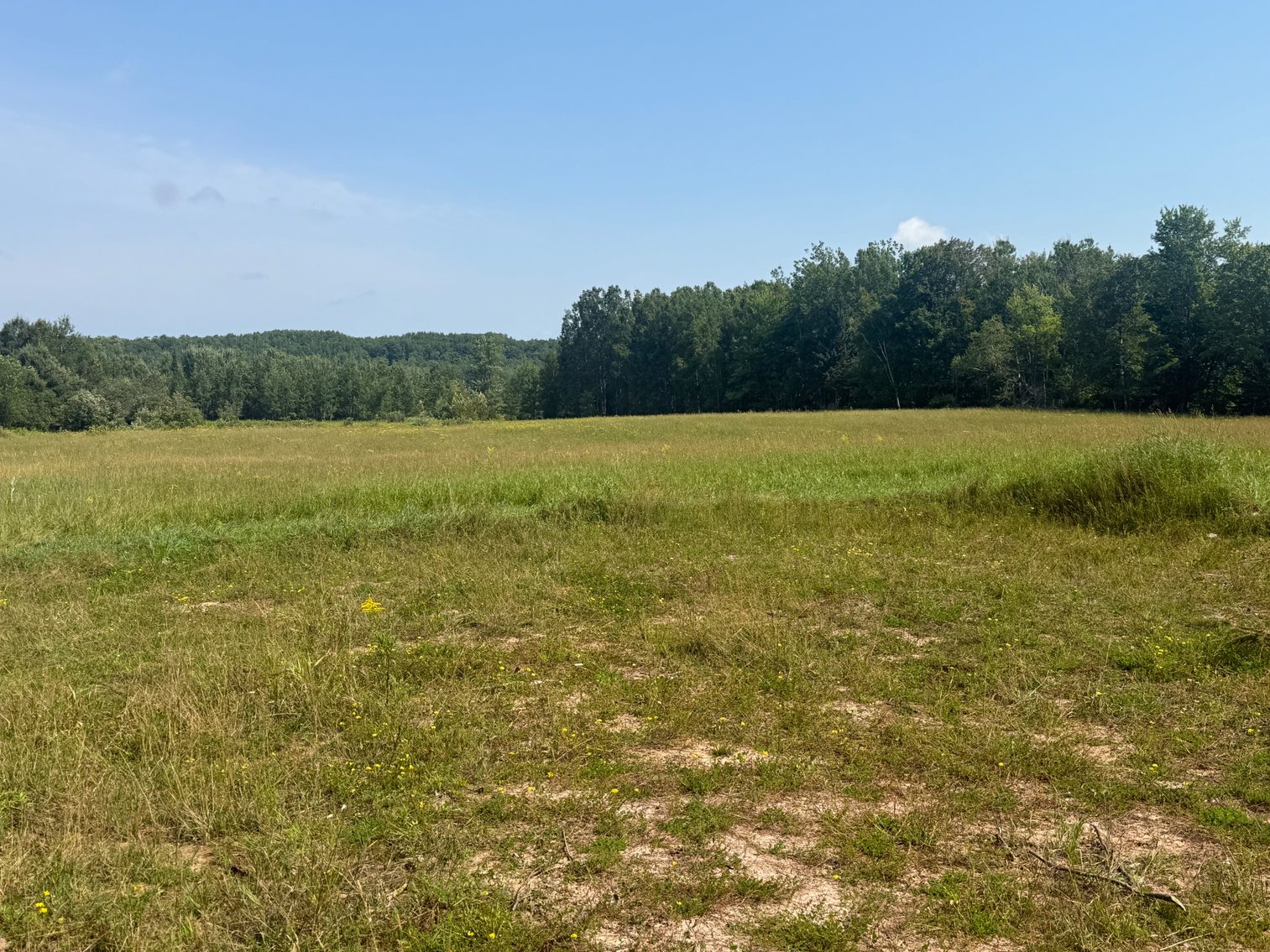 Image for Sold, Sold, Sold, Sold,***Florence,  WI *** Sept 6, 2025 *** 40 +/- Acres & Home/Barn - Being Sold To The Highest Bidder! Court Ordered!