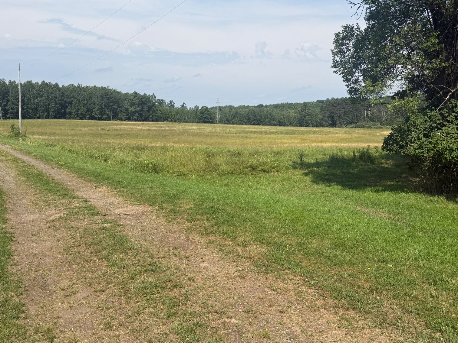 Image for Sold, Sold, Sold, Sold,***Florence,  WI *** Sept 6, 2025 *** 40 +/- Acres & Home/Barn - Being Sold To The Highest Bidder! Court Ordered!