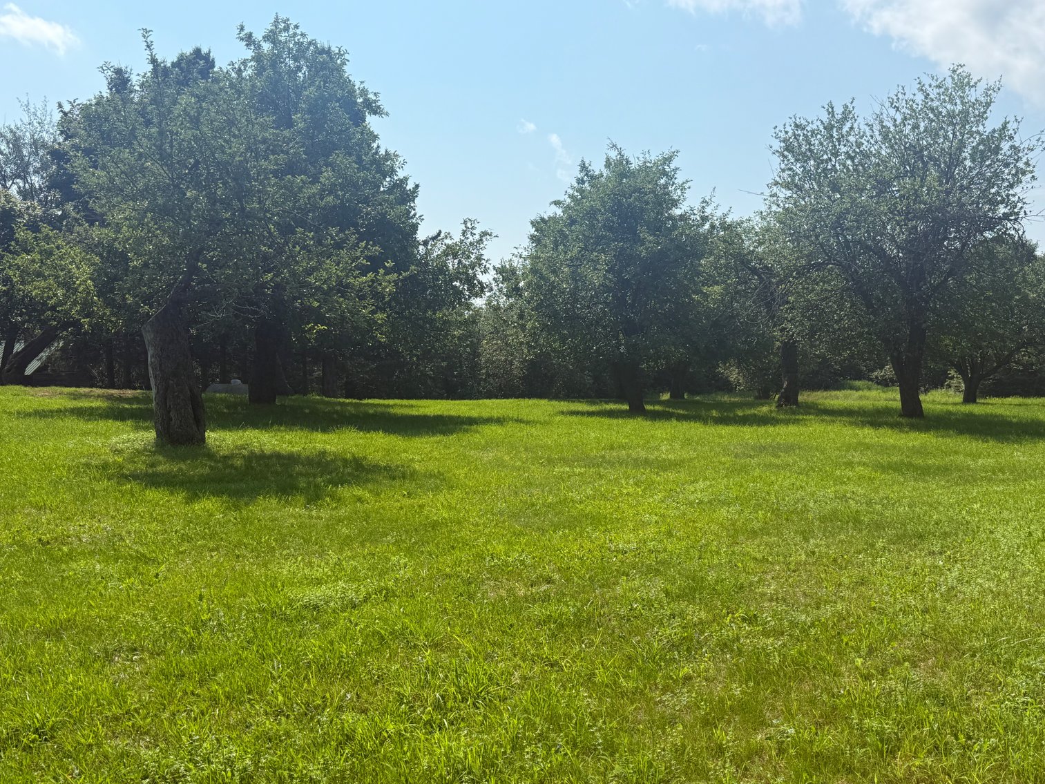 Image for Sold, Sold, Sold, Sold,***Florence,  WI *** Sept 6, 2025 *** 40 +/- Acres & Home/Barn - Being Sold To The Highest Bidder! Court Ordered!