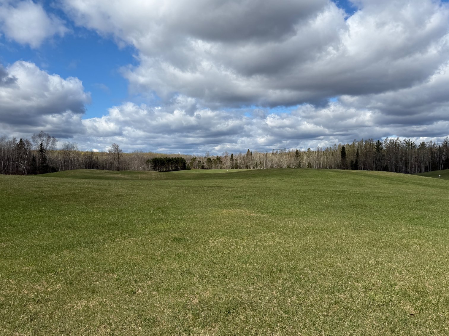 Image for Armstrong Creek, WI  60  Acres/Home Bordering National Forest Being Sold To The Highest Bidder!