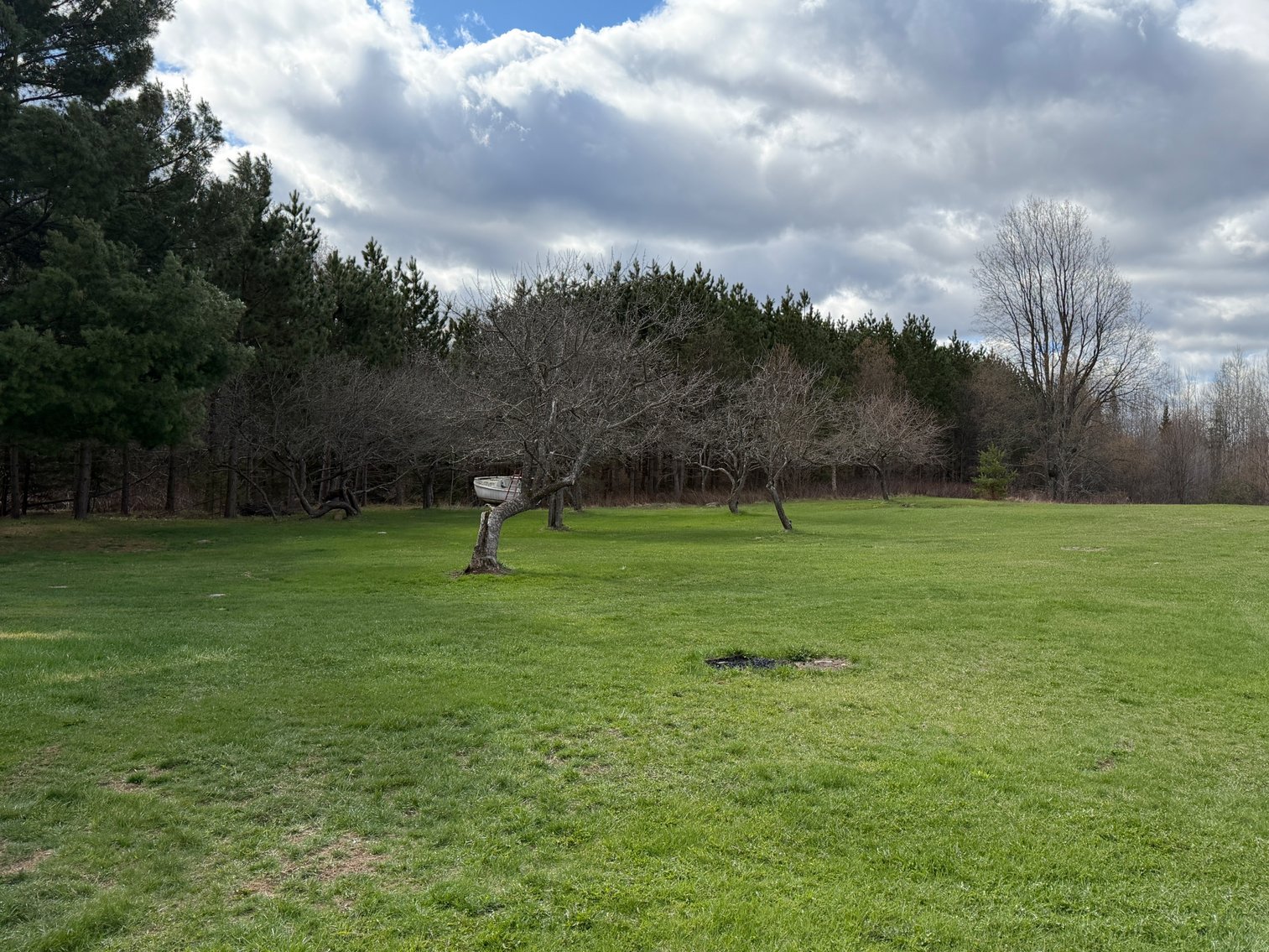 Image for Armstrong Creek, WI  60  Acres/Home Bordering National Forest Being Sold To The Highest Bidder!
