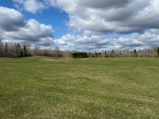 Image for Armstrong Creek, WI  60  Acres/Home Bordering National Forest Being Sold To The Highest Bidder!