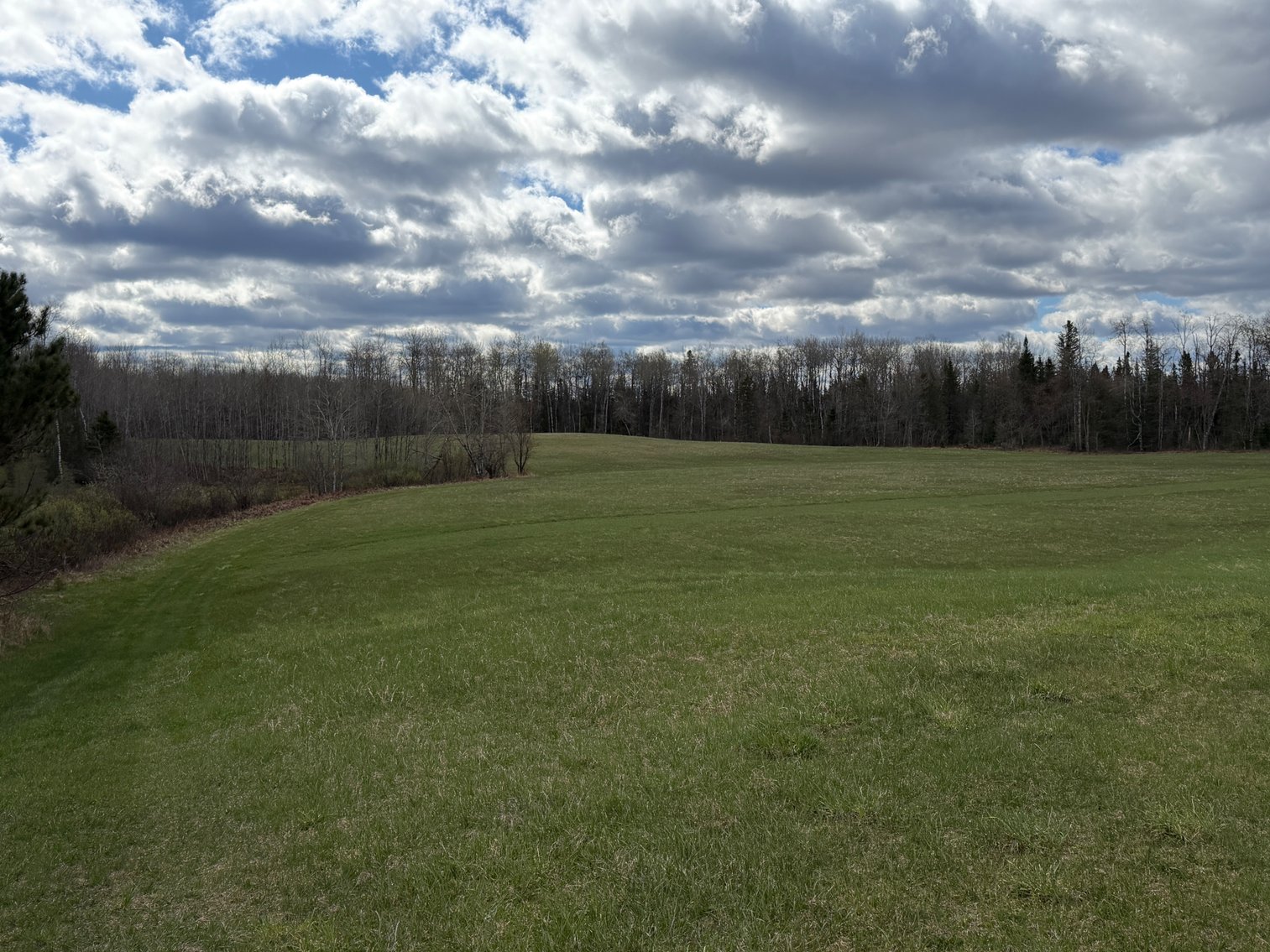 Image for Armstrong Creek, WI  60  Acres/Home Bordering National Forest Being Sold To The Highest Bidder!