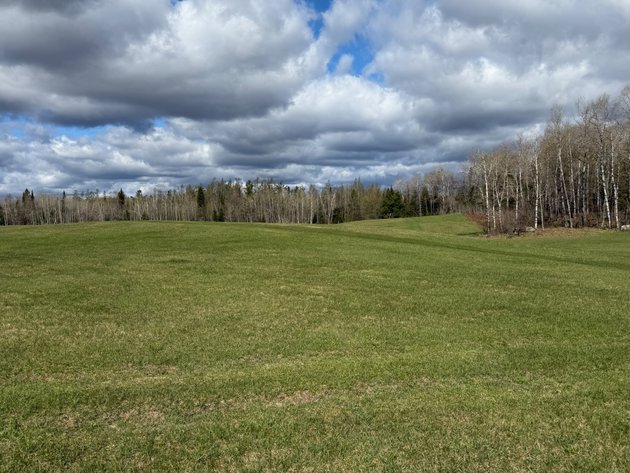 Image for Armstrong Creek, WI  60  Acres/Home Bordering National Forest Being Sold To The Highest Bidder!