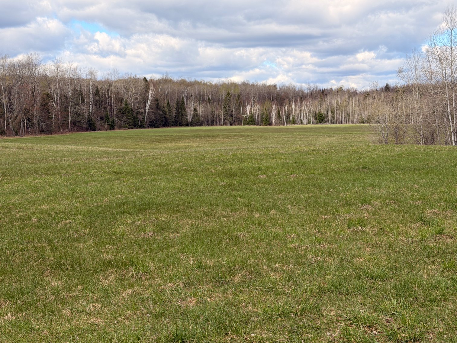 Image for Armstrong Creek, WI  60  Acres/Home Bordering National Forest Being Sold To The Highest Bidder!