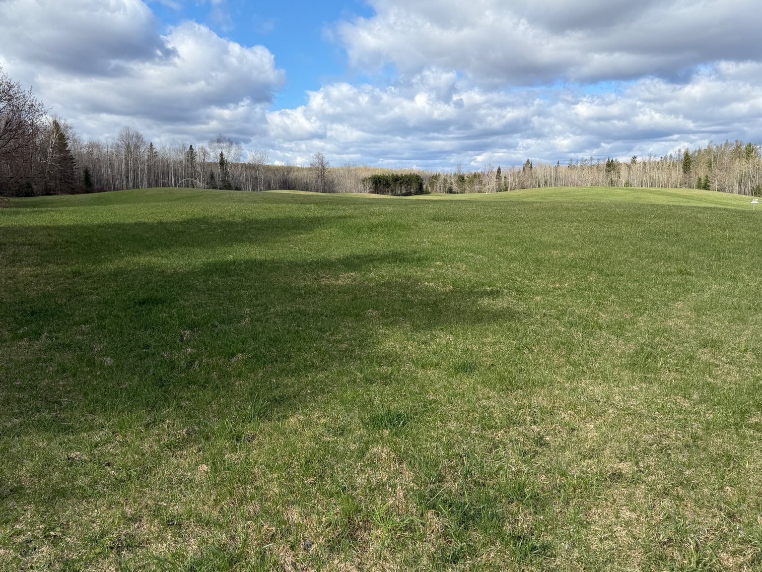 Image for Armstrong Creek, WI  60  Acres/Home Bordering National Forest Being Sold To The Highest Bidder!