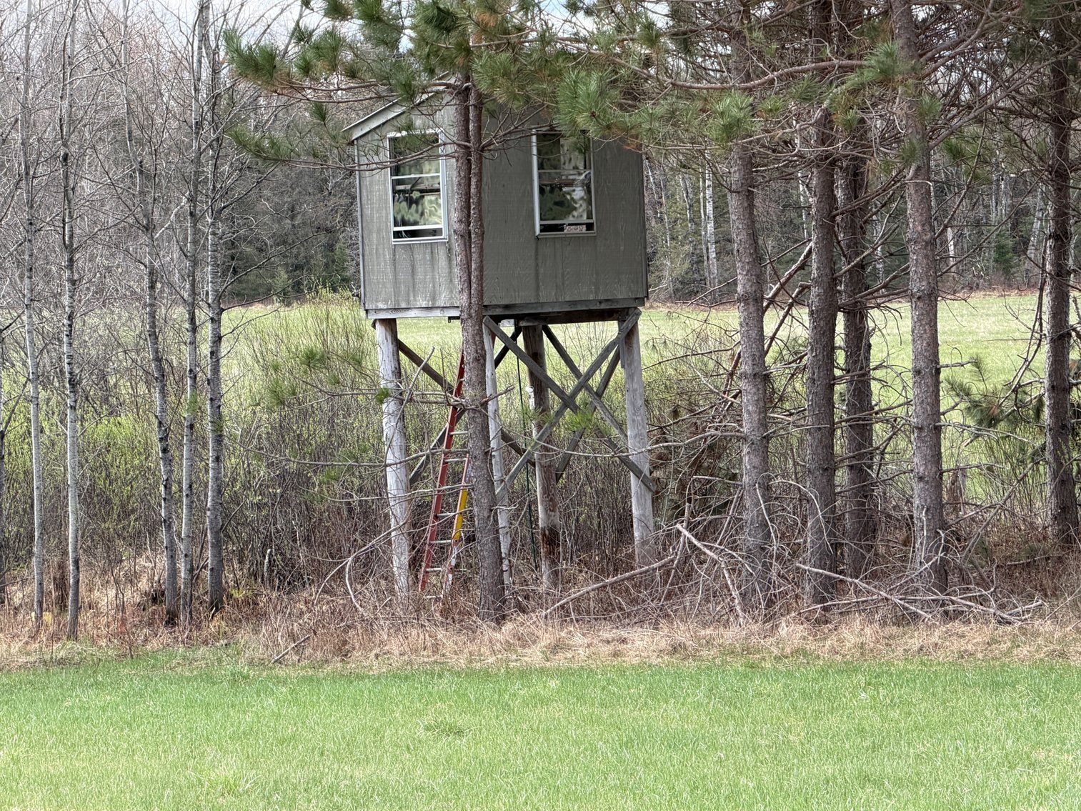 Image for Armstrong Creek, WI  60  Acres/Home Bordering National Forest Being Sold To The Highest Bidder!