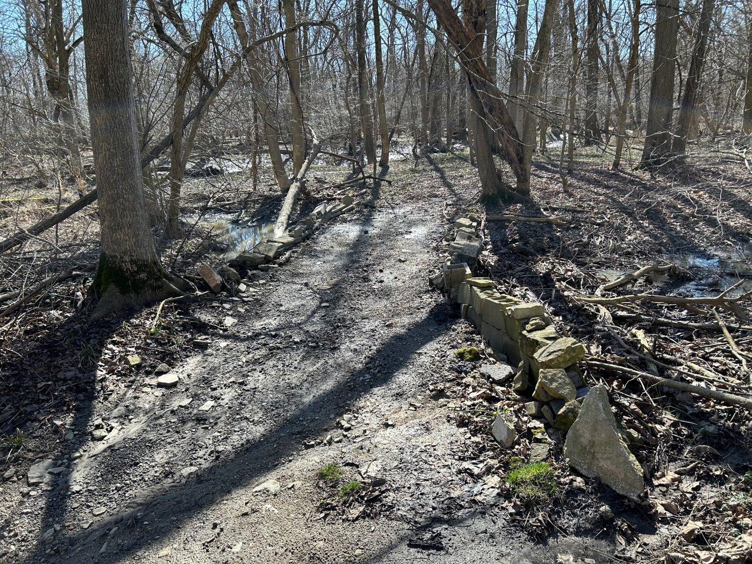 Image for 42 Wooded Acres with Cabin