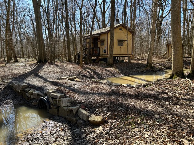 42 Wooded Acres with Cabin