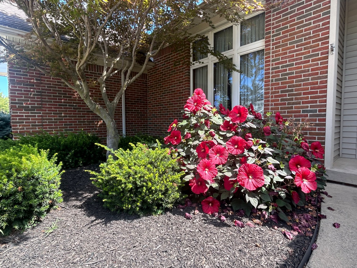 Image for 251 Saint Paul Drive, Fremont, OH 43420