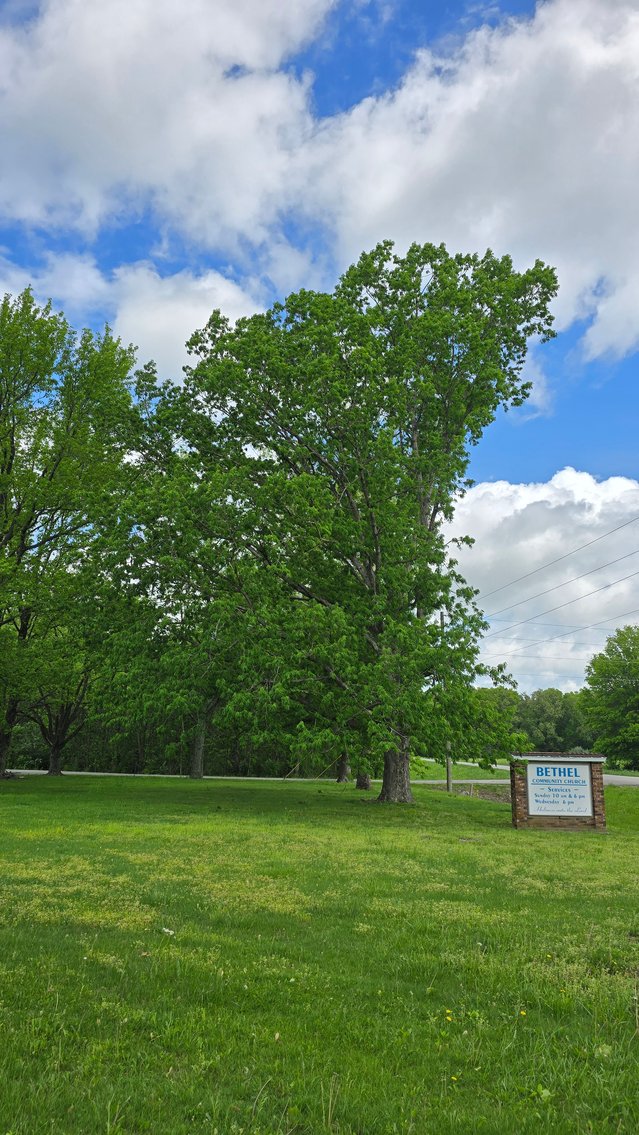 Image for Rural Property with Space, Peace & Possibility – Online-Only Auction