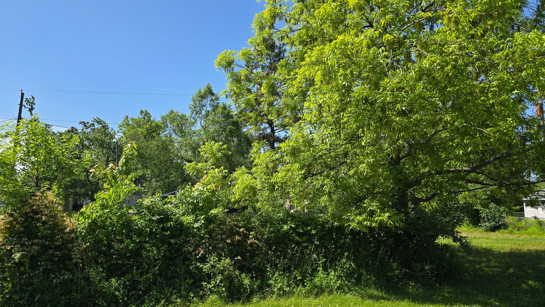 Image for Ready for Your Magic Touch: Herrin Home at Online Auction