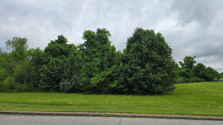 Image for 6.1 Acres - Commercial Development Tract - Carbondale, Illinois - Online Real Estate Auction
