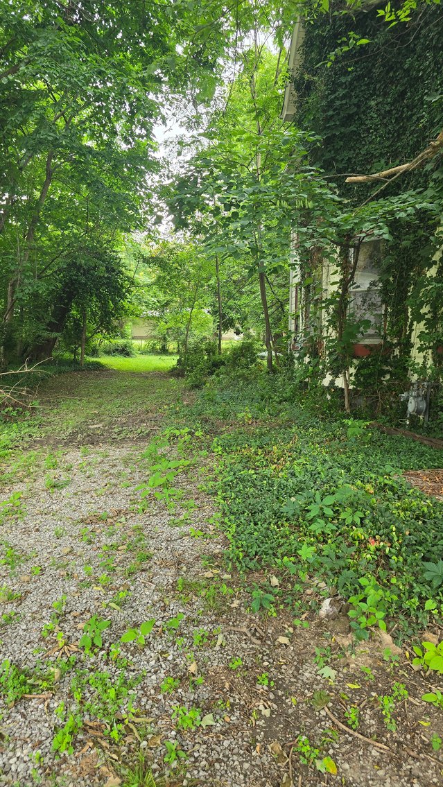 Image for Historical Gem with Original Details: Victorian-Era Home Ready for Revival