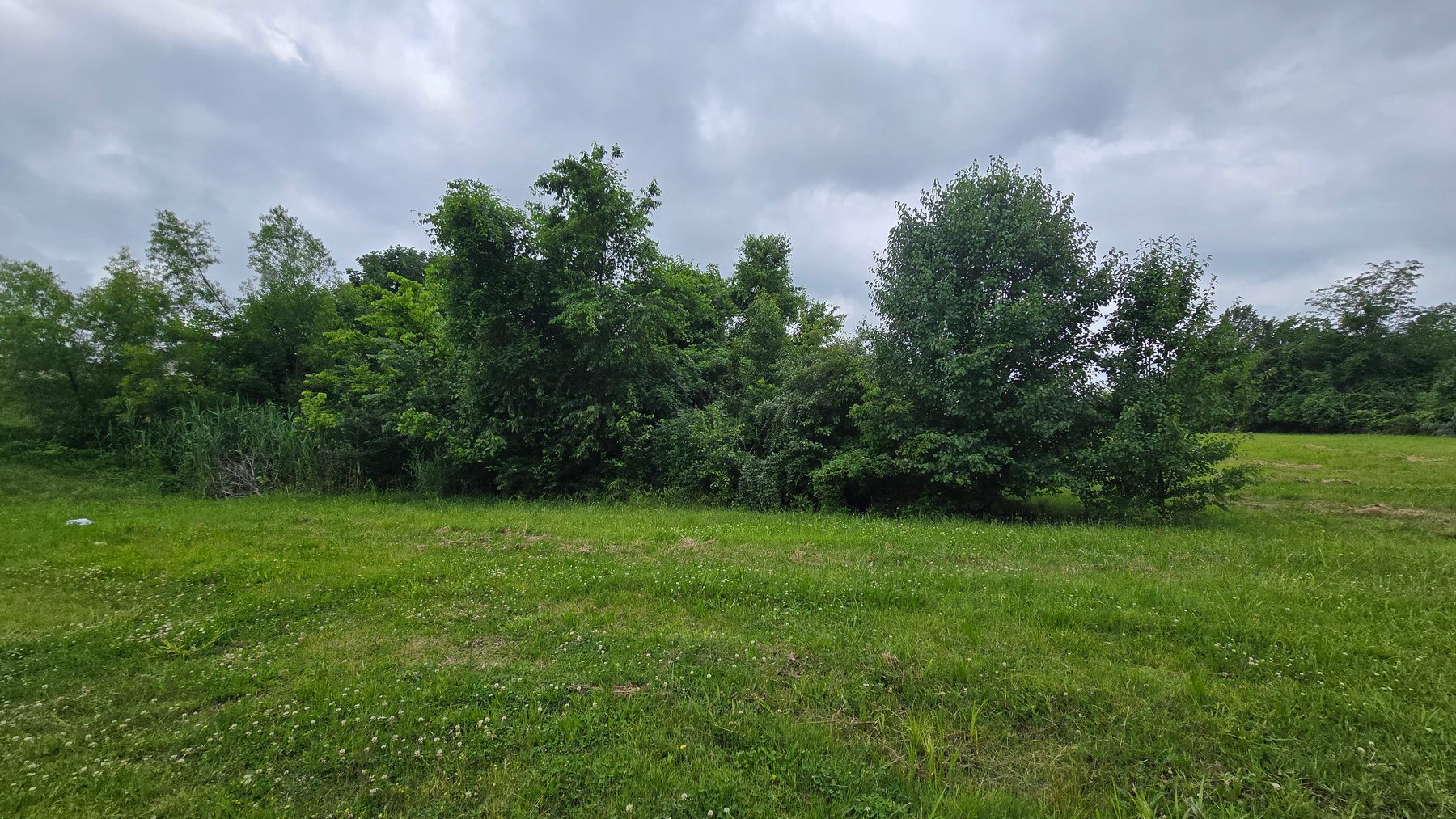 Image for 6.1 Acres - Commercial Development Tract - Carbondale, Illinois - Online Real Estate Auction