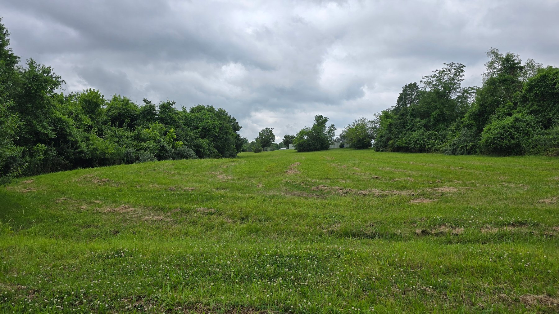 Image for 6.1 Acres - Commercial Development Tract - Carbondale, Illinois - Online Real Estate Auction