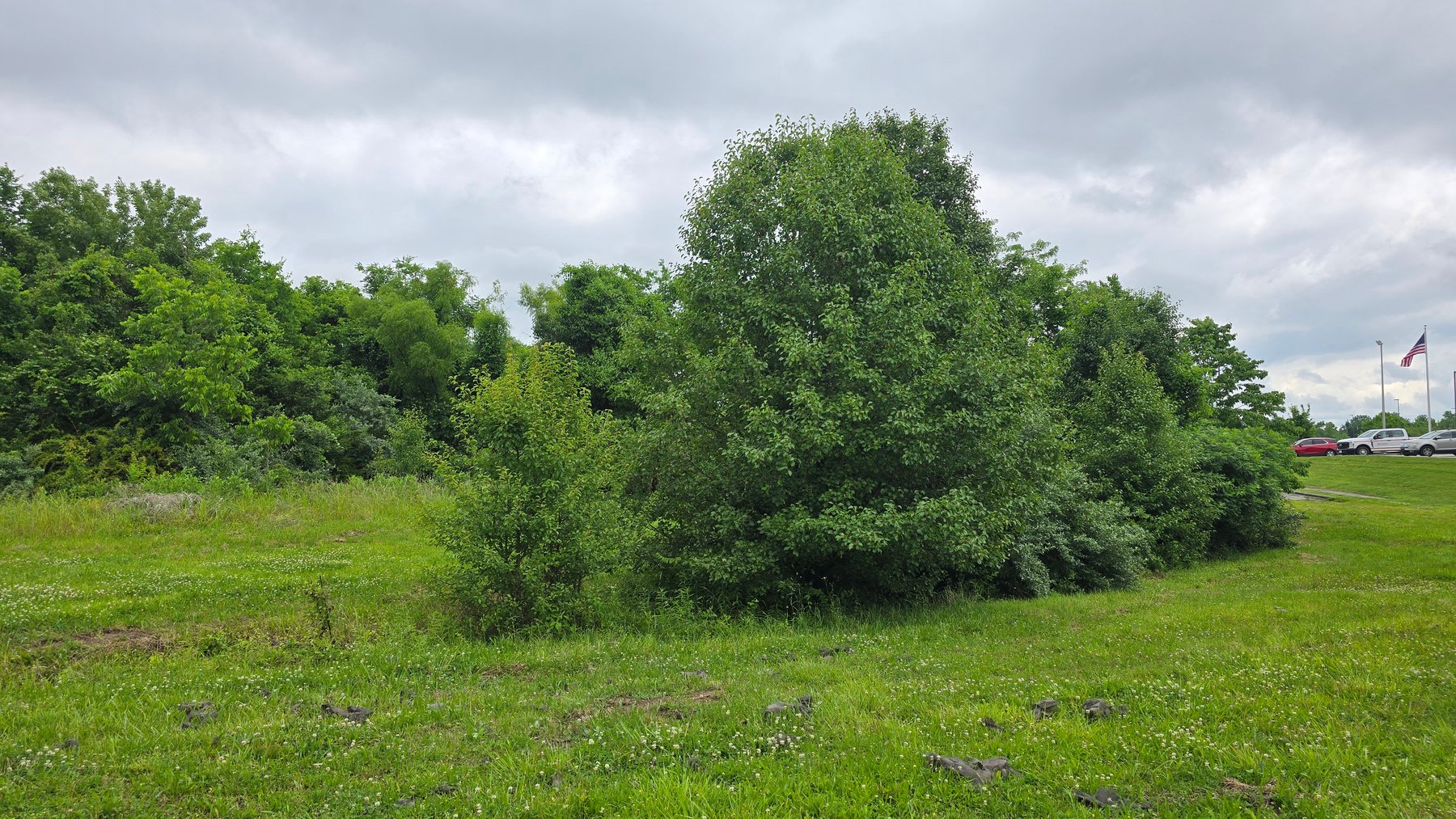 Image for 6.1 Acres - Commercial Development Tract - Carbondale, Illinois - Online Real Estate Auction