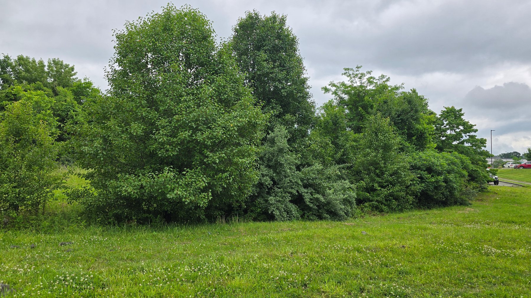 Image for 6.1 Acres - Commercial Development Tract - Carbondale, Illinois - Online Real Estate Auction