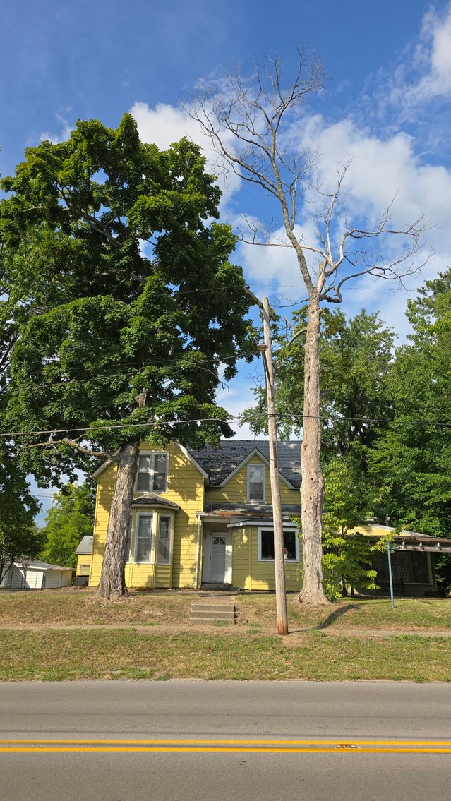 Image for FORMER FLORIST SHOP REAL ESTATE AUCTION