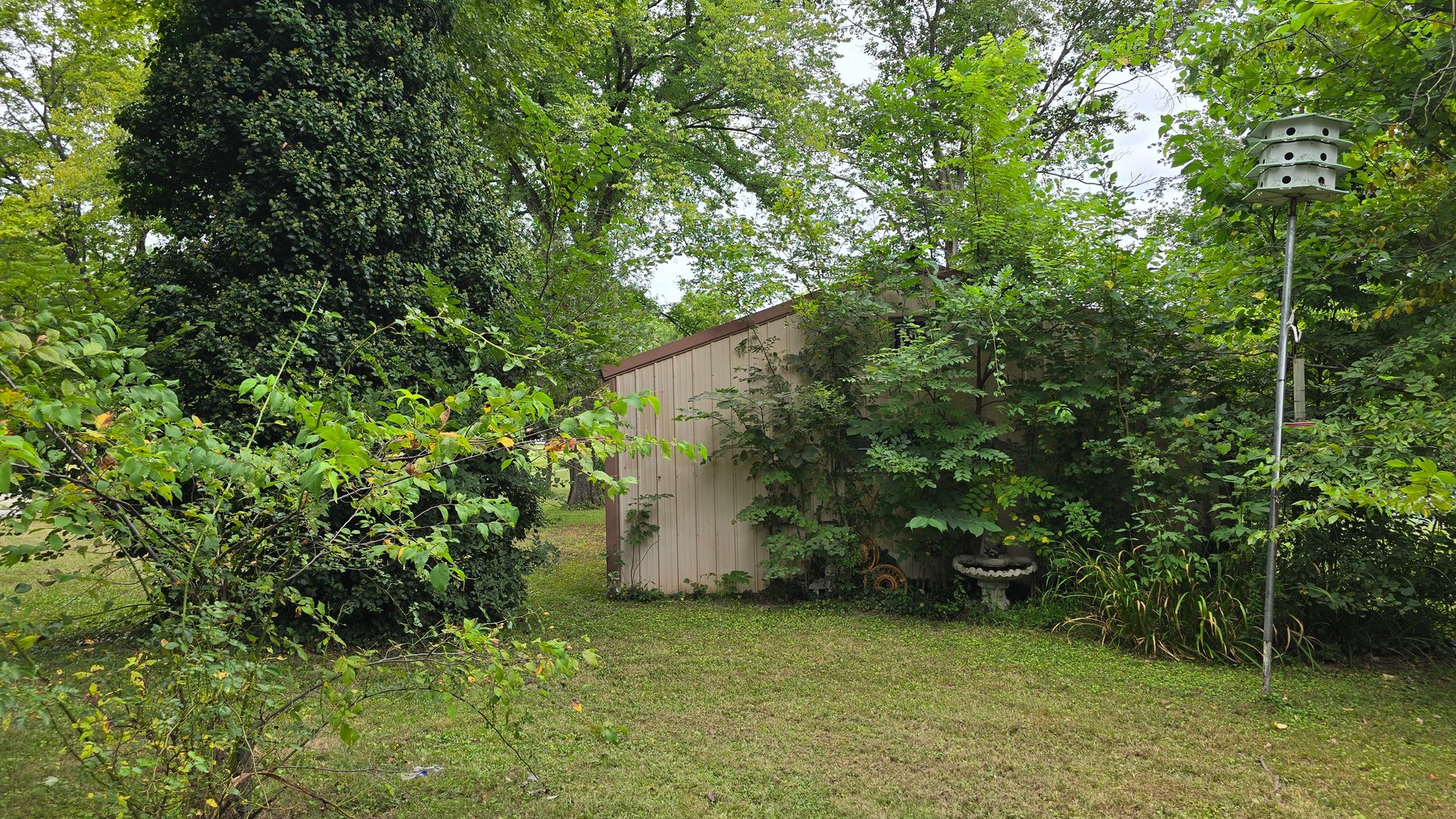 Image for Cozy Home, Big Possibilities - Country Living Made Easy