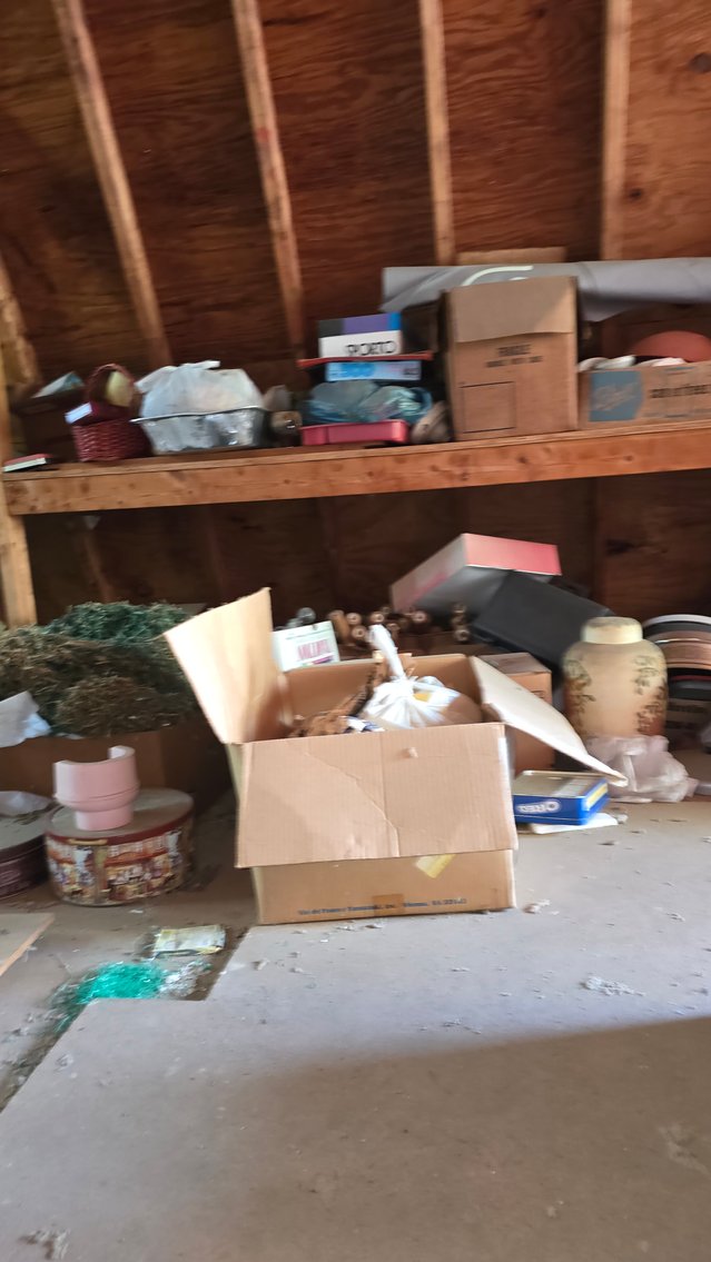 Image for Cozy Home, Big Possibilities - Country Living Made Easy