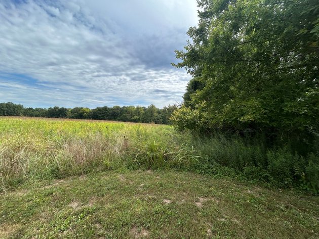 Image for 73± Acres with Executive Home, Barns, and Rural Paradise - Where Rural Elegance Meets Working Land