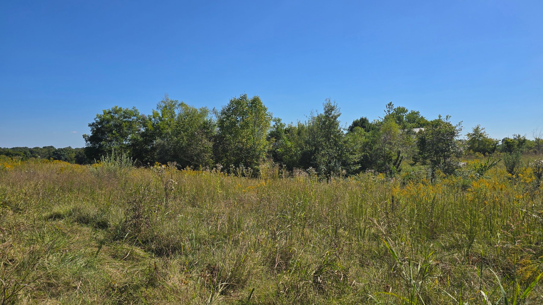 Image for LAND AUCTION - 68.9± ACRES IN 3 TRACTS WITH BARNS