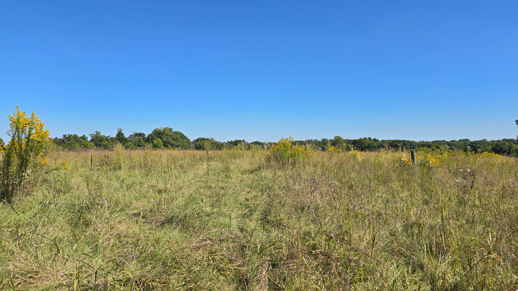 Image for LAND AUCTION - 68.9± ACRES IN 3 TRACTS WITH BARNS
