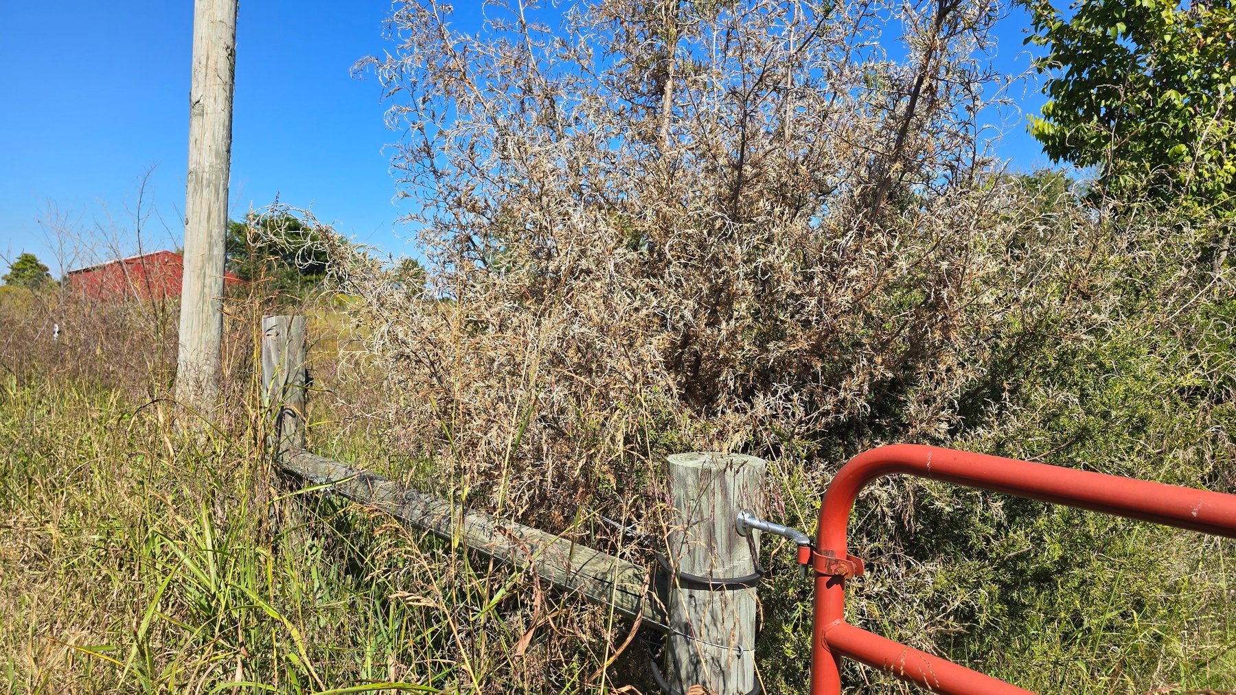 Image for LAND AUCTION - 68.9± ACRES IN 3 TRACTS WITH BARNS