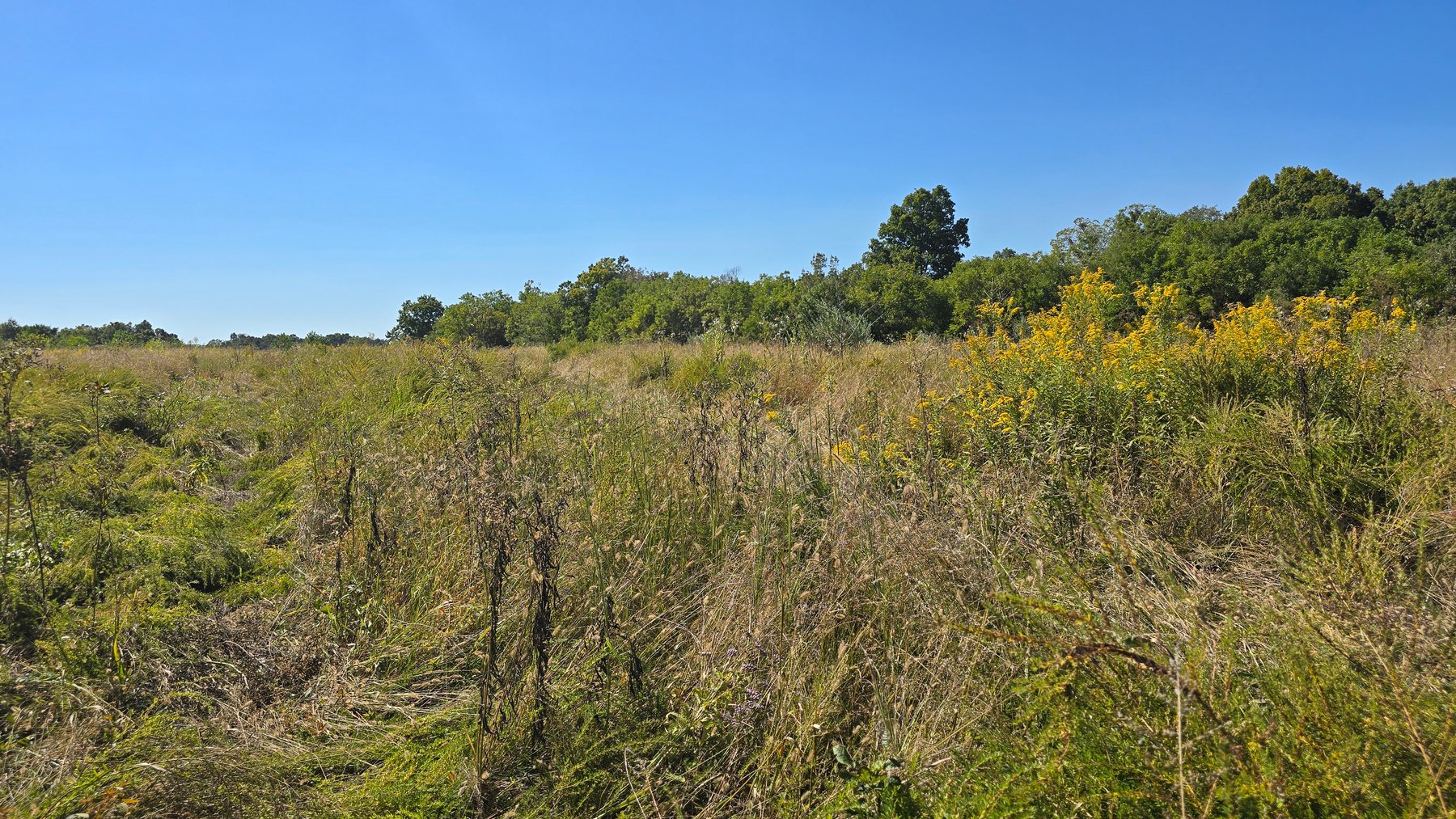 Image for LAND AUCTION - 68.9± ACRES IN 3 TRACTS WITH BARNS