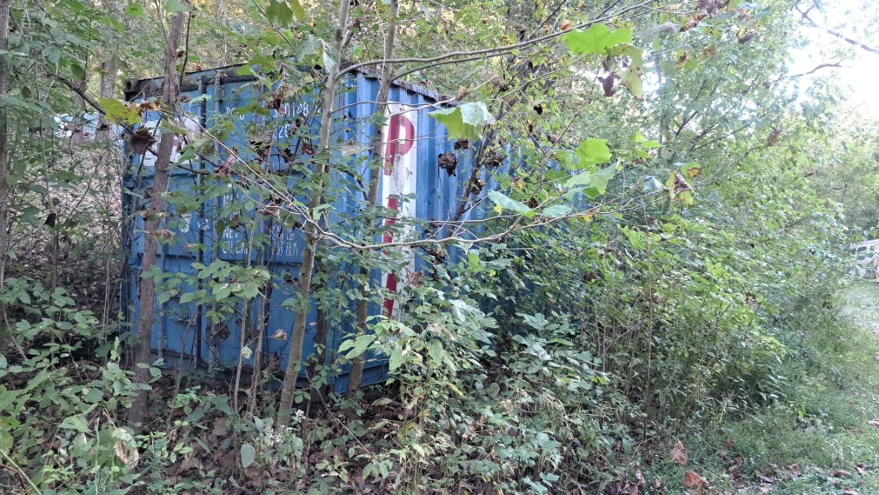 Image for Shipping Containers & Contents!