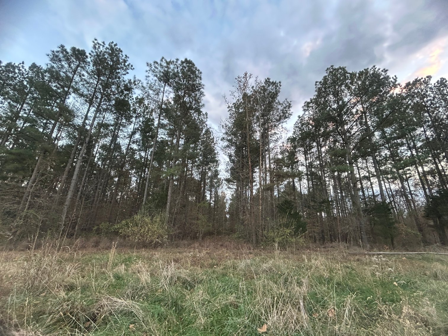 Image for Home, Pole Barn, and Approx. 100 +/- Acres