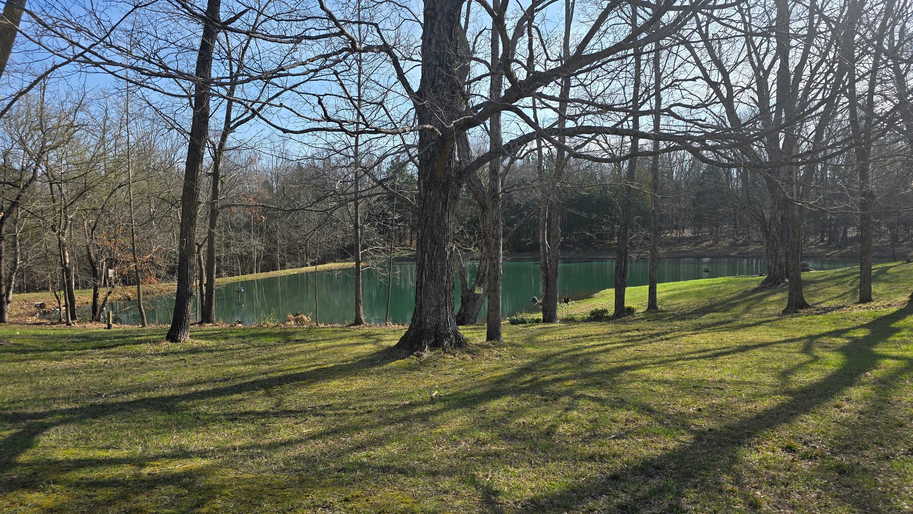 Image for 305 Campers Lane, Creal Springs, IL 62922