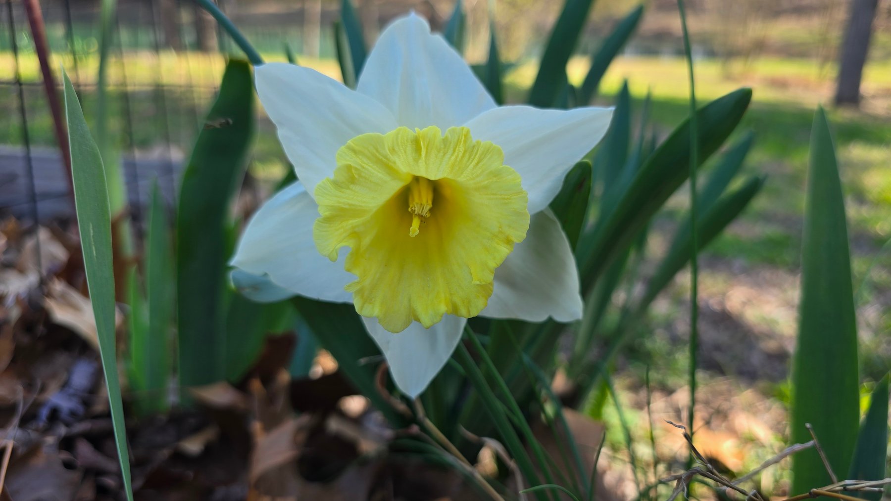 Image for 305 Campers Lane, Creal Springs, IL 62922