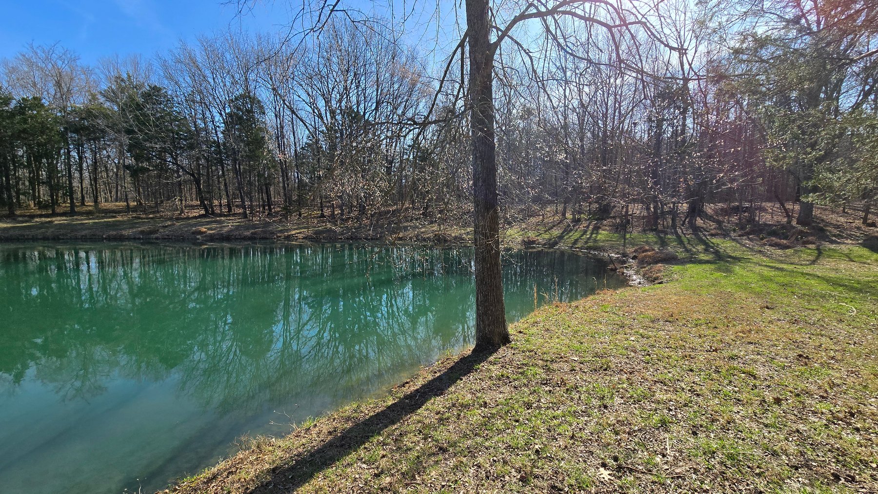 Image for 305 Campers Lane, Creal Springs, IL 62922