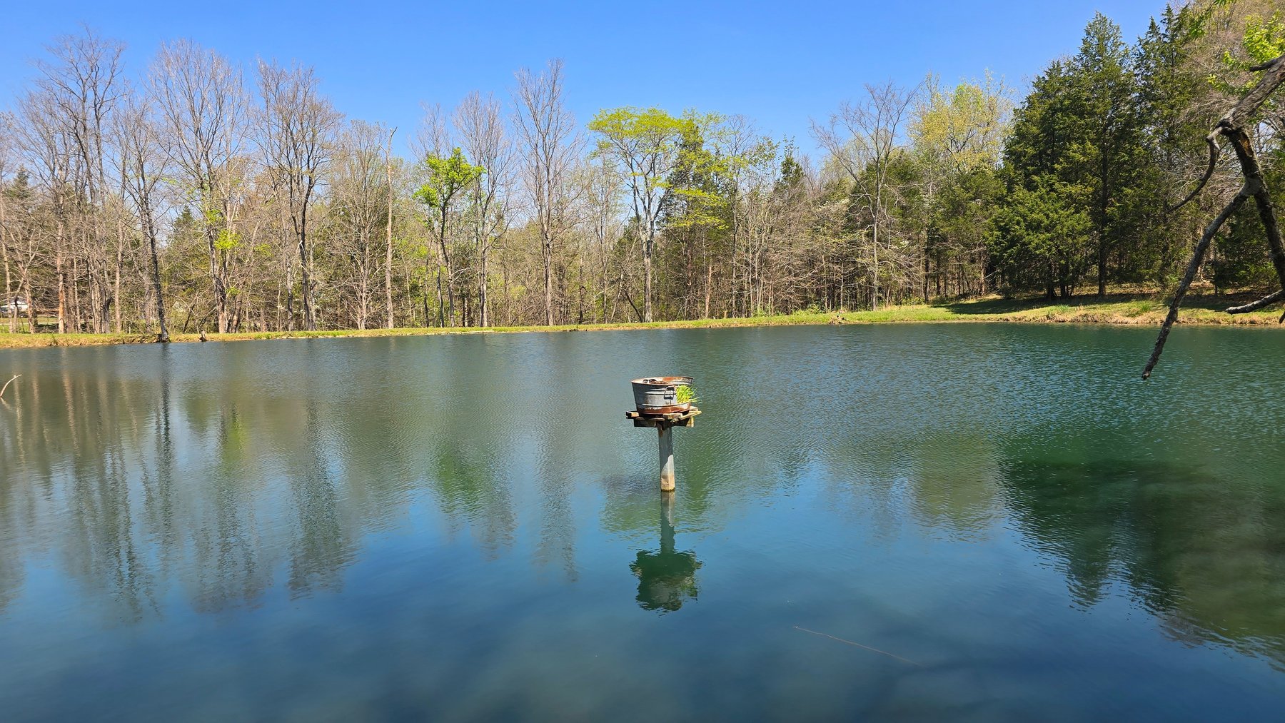 Image for 305 Campers Lane, Creal Springs, IL 62922