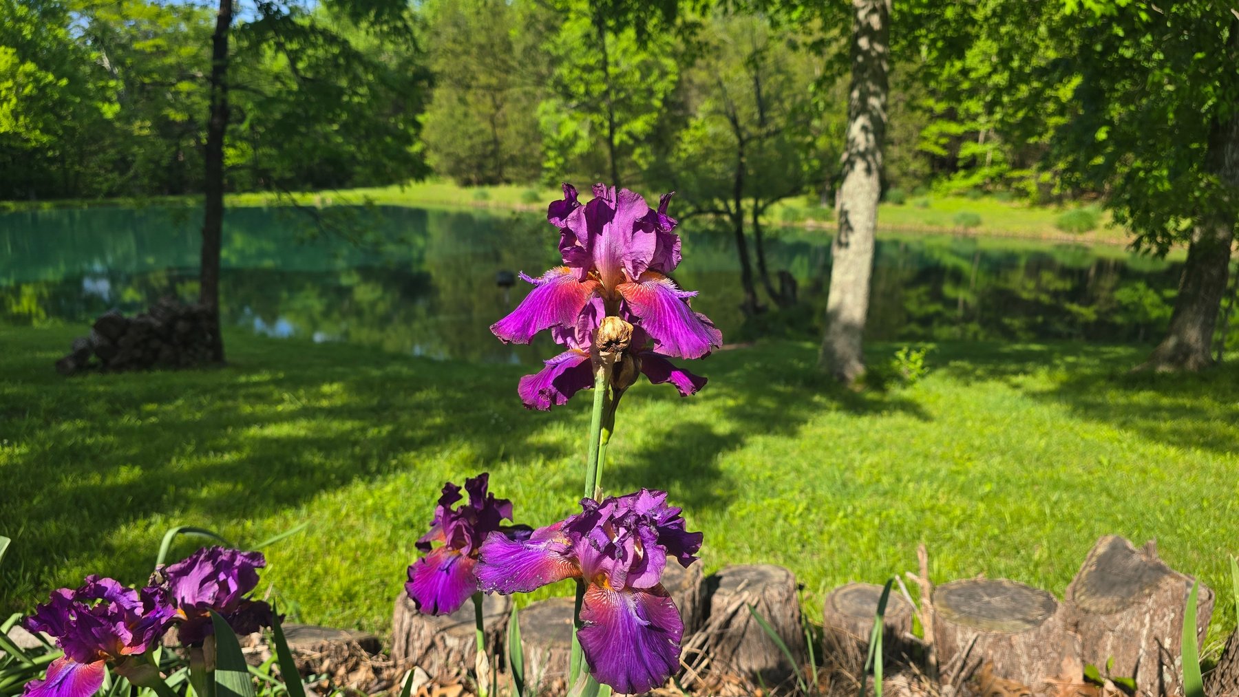 Image for 305 Campers Lane, Creal Springs, IL 62922