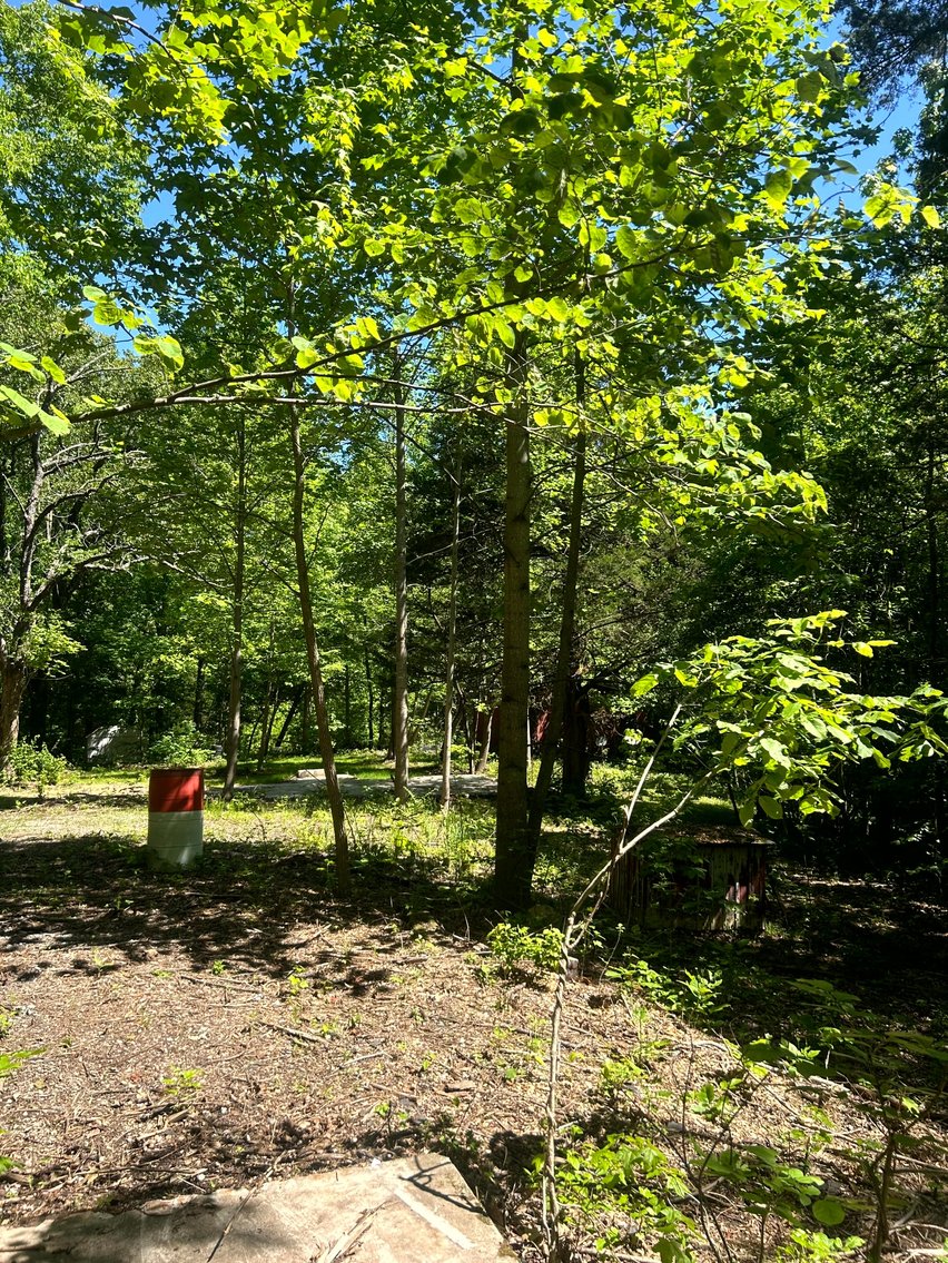 Image for 3993 Teddybear Lane, Carbondale, IL 62902
