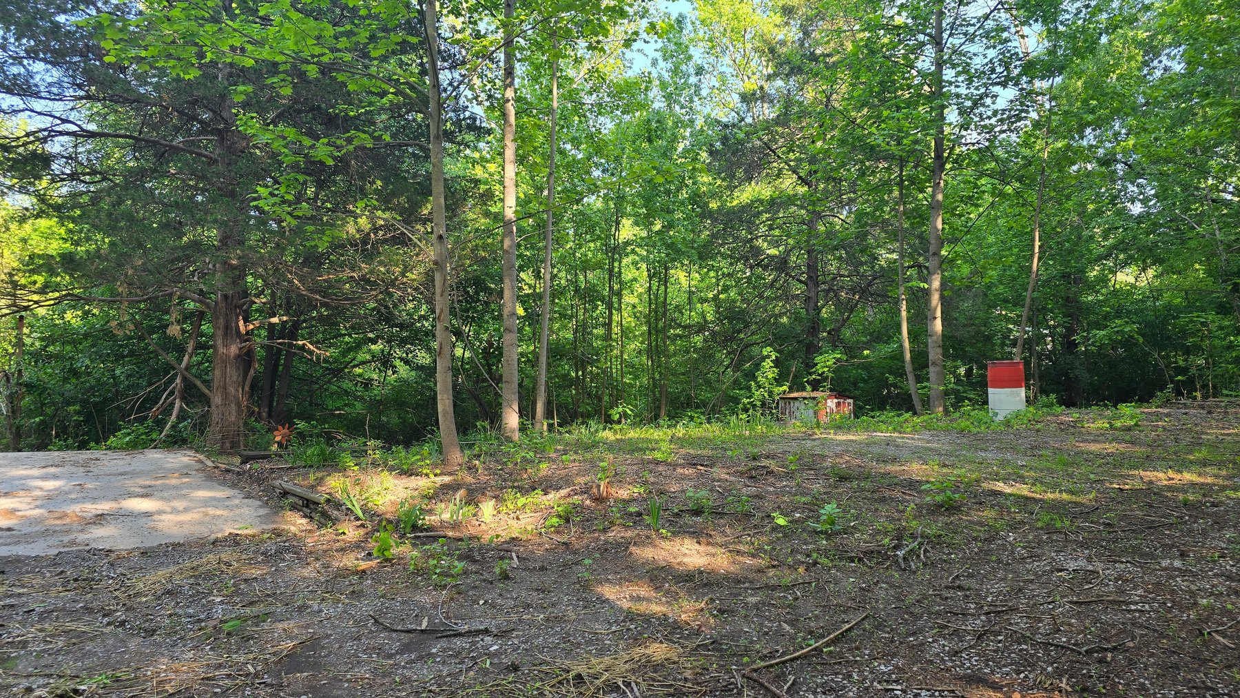 Image for 3993 Teddybear Lane, Carbondale, IL 62902