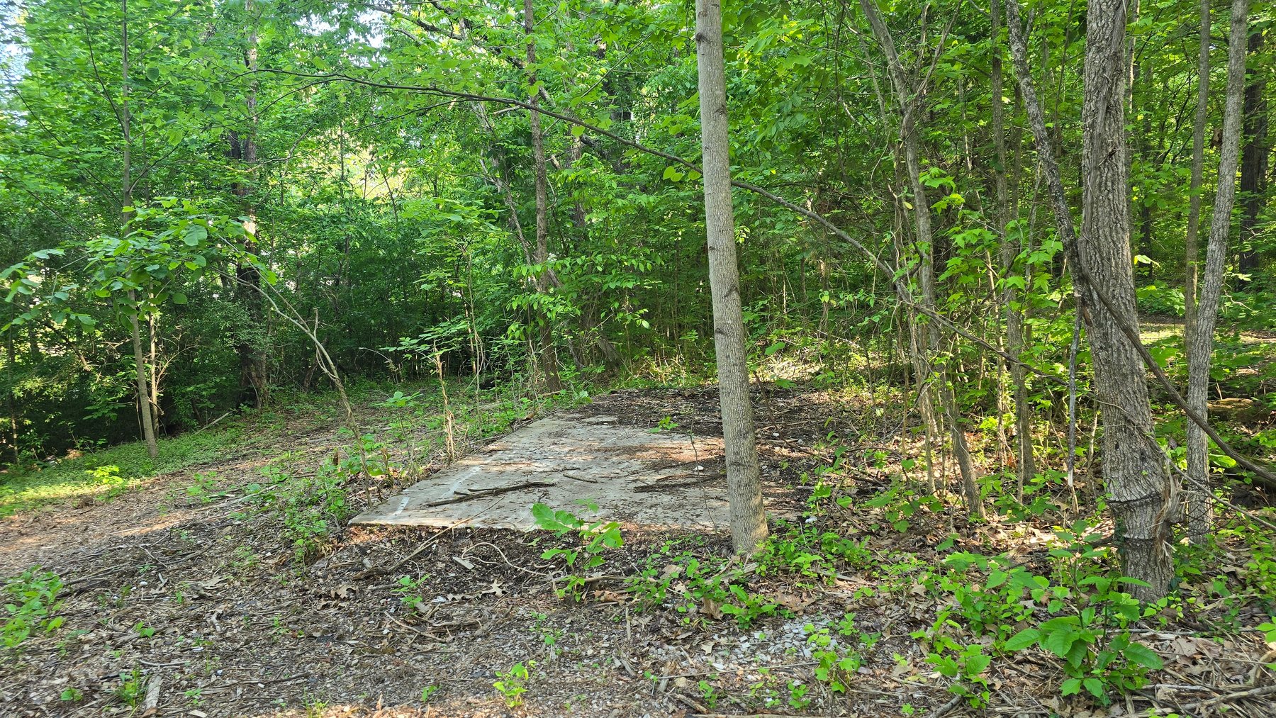 Image for 3993 Teddybear Lane, Carbondale, IL 62902
