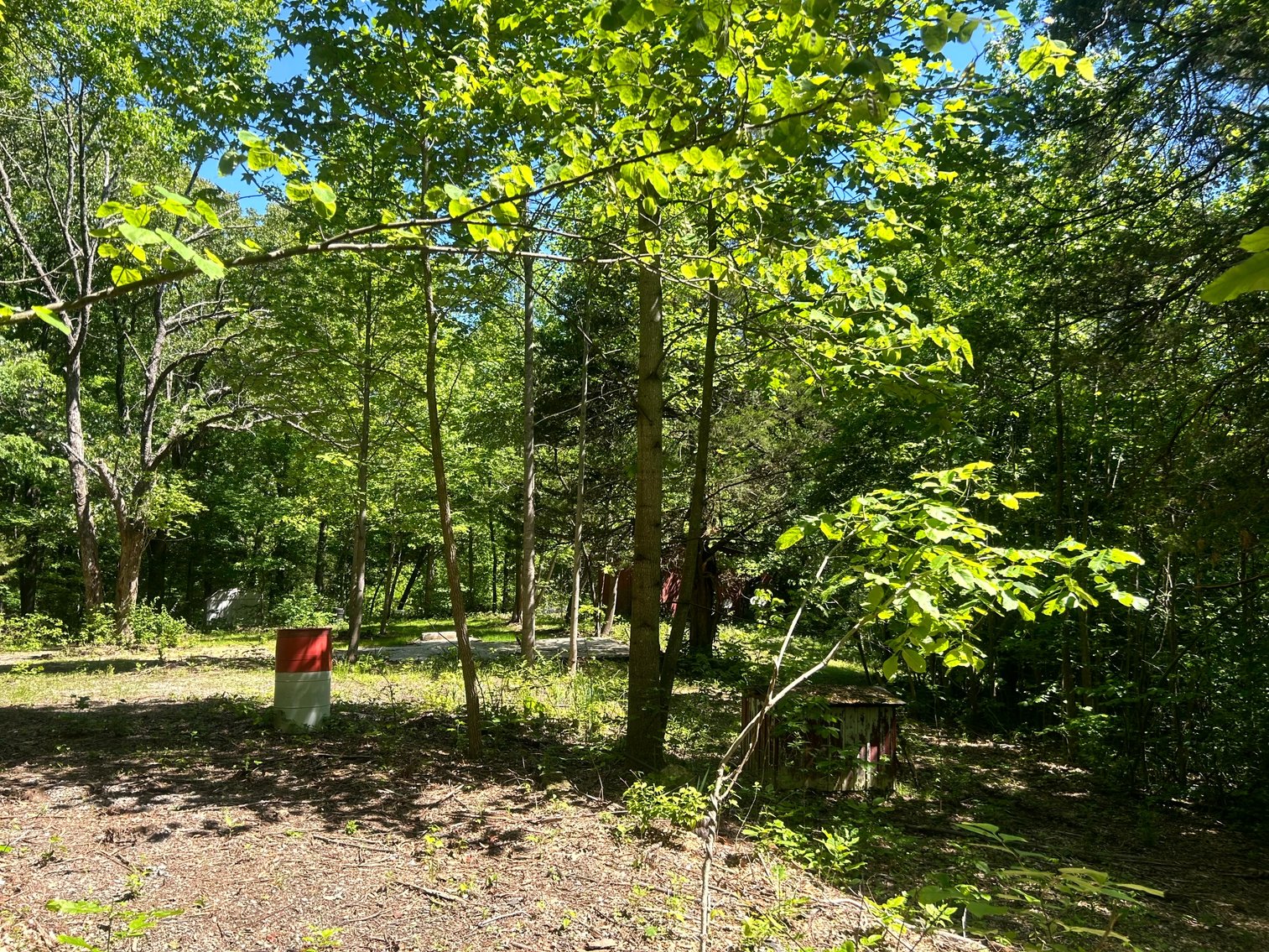 Image for 3993 Teddybear Lane, Carbondale, IL 62902