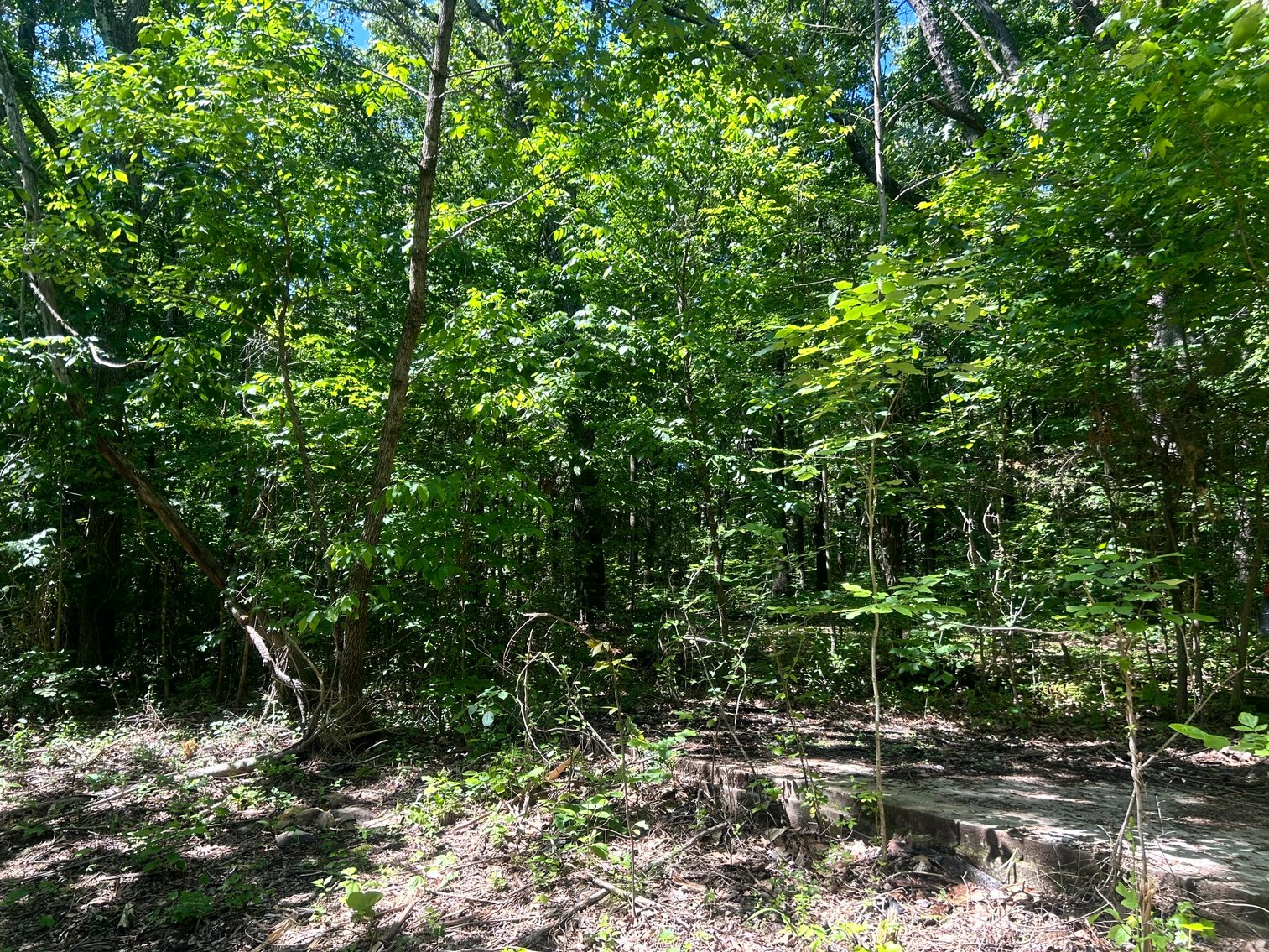 Image for 3993 Teddybear Lane, Carbondale, IL 62902