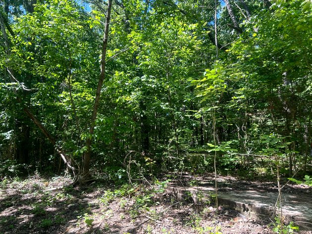Image for 3993 Teddybear Lane, Carbondale, IL 62902