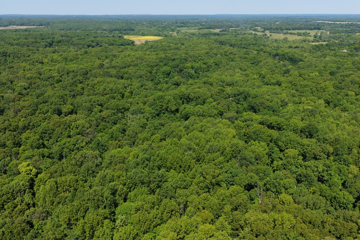 Image for 3993 Teddybear Lane, Carbondale, IL 62902